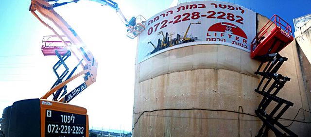 גיזום עצים – איך תעשו זאת נכון
